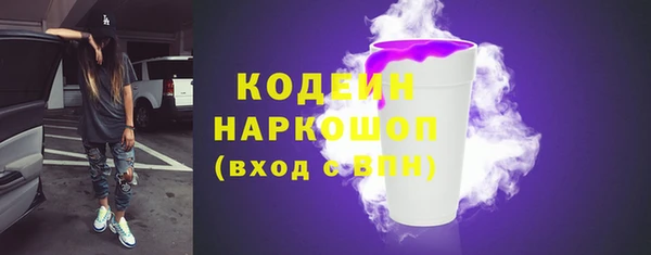 соль ск Белокуриха