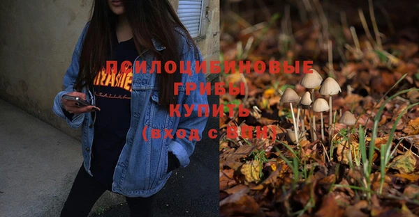 соль ск Белокуриха