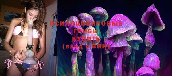 соль ск Белокуриха