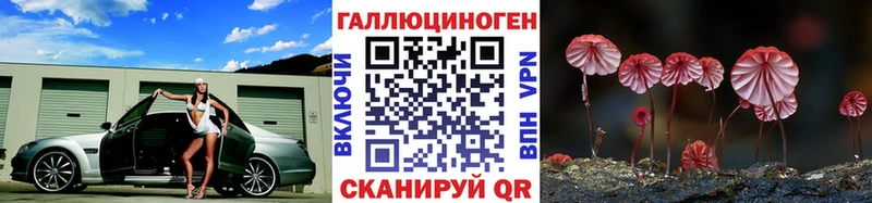 Купить где  Гурьевск  Псилоцибиновые грибы MAGIC MUSHROOMS 